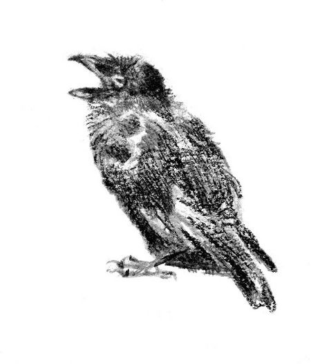 Иллюстрация к книге — Бегство к себе. Жизнь подростка [i_003.jpg]