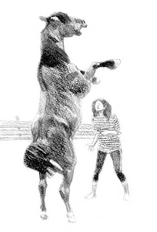 Иллюстрация к книге — Бегство к себе. Жизнь подростка [i_011.jpg]