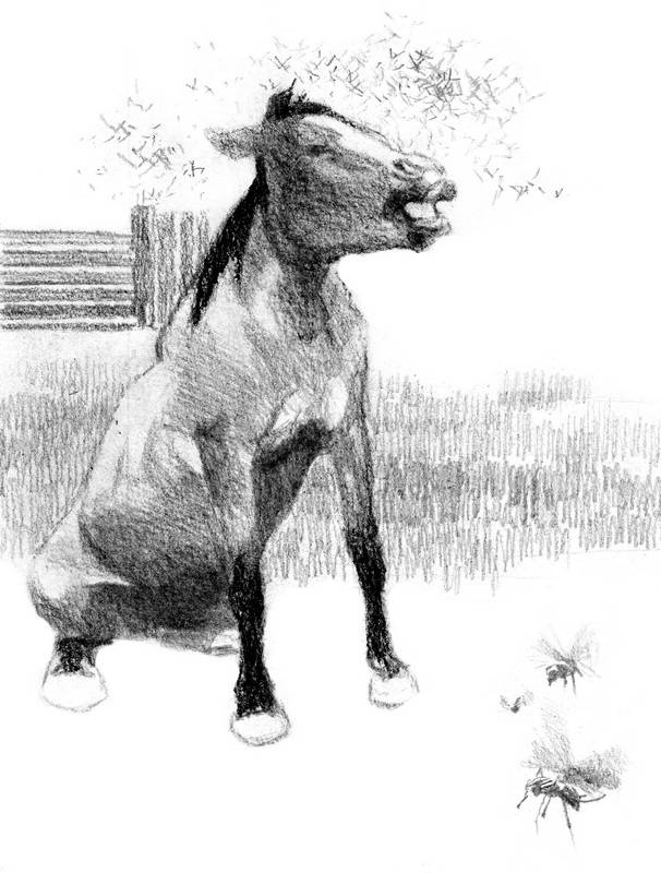 Иллюстрация к книге — Бегство к себе. Жизнь подростка [i_012.jpg]