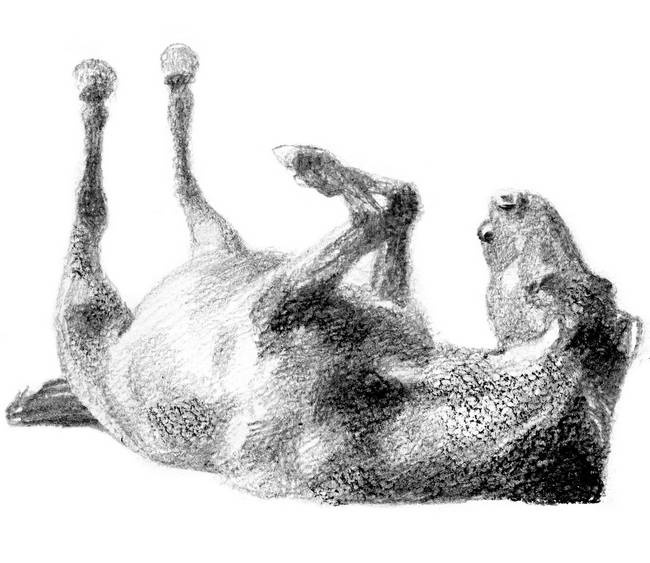 Иллюстрация к книге — Бегство к себе. Жизнь подростка [i_013.jpg]