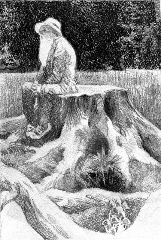 Иллюстрация к книге — Бегство к себе. Жизнь подростка [i_020.jpg]