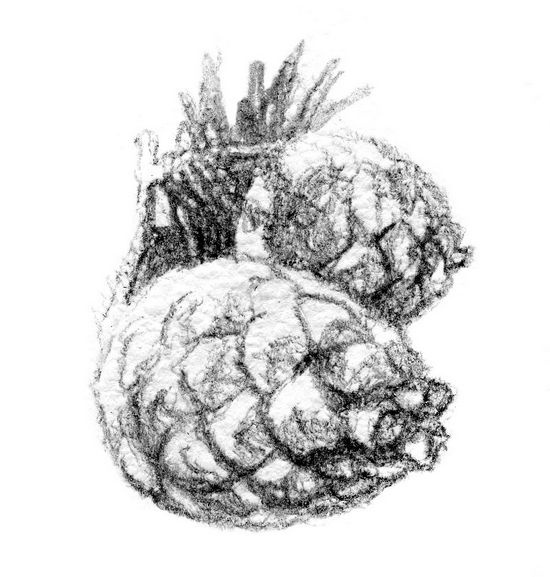 Иллюстрация к книге — Бегство к себе. Жизнь подростка [i_022.jpg]