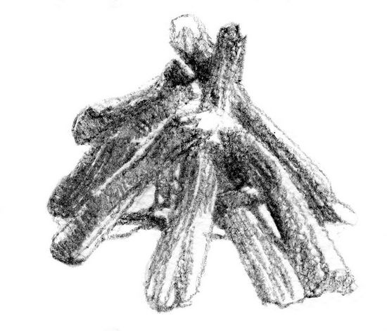 Иллюстрация к книге — Бегство к себе. Жизнь подростка [i_023.jpg]