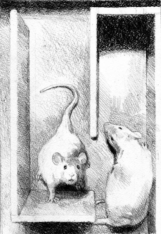 Иллюстрация к книге — Бегство к себе. Жизнь подростка [i_026.jpg]