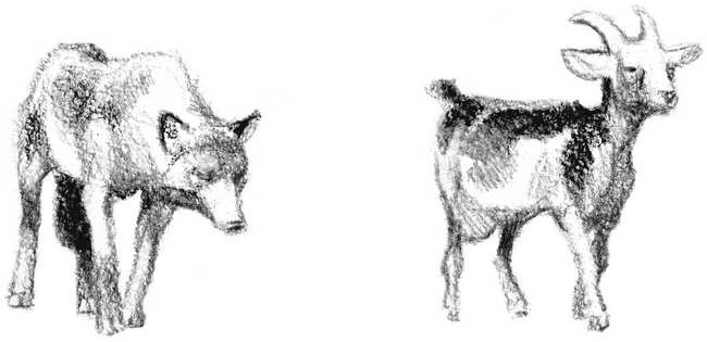 Иллюстрация к книге — Бегство к себе. Жизнь подростка [i_030.jpg]