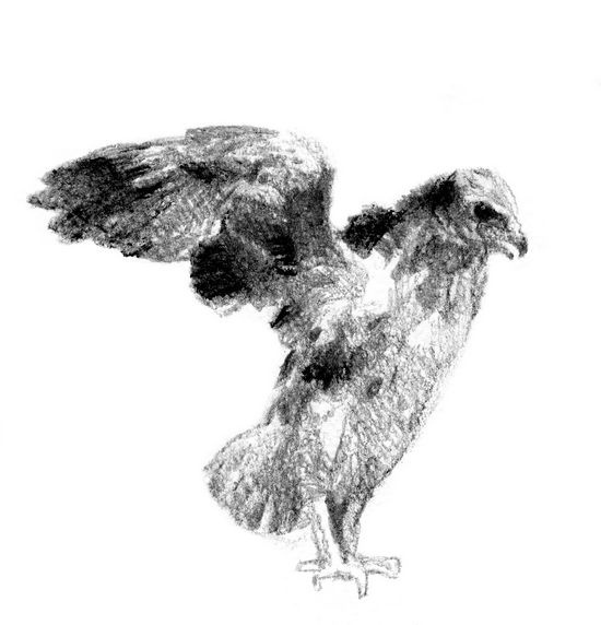 Иллюстрация к книге — Бегство к себе. Жизнь подростка [i_032.jpg]