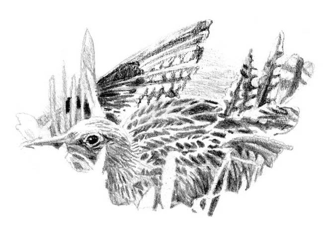 Иллюстрация к книге — Бегство к себе. Жизнь подростка [i_033.jpg]