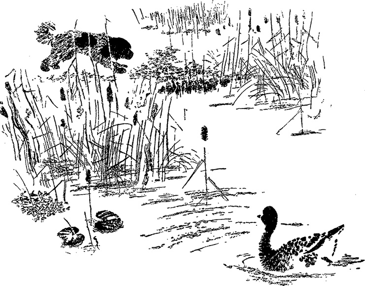 Иллюстрация к книге — Город и лес у моря [i_024.jpg]