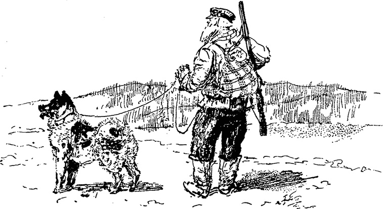 Иллюстрация к книге — Город и лес у моря [i_029.jpg]