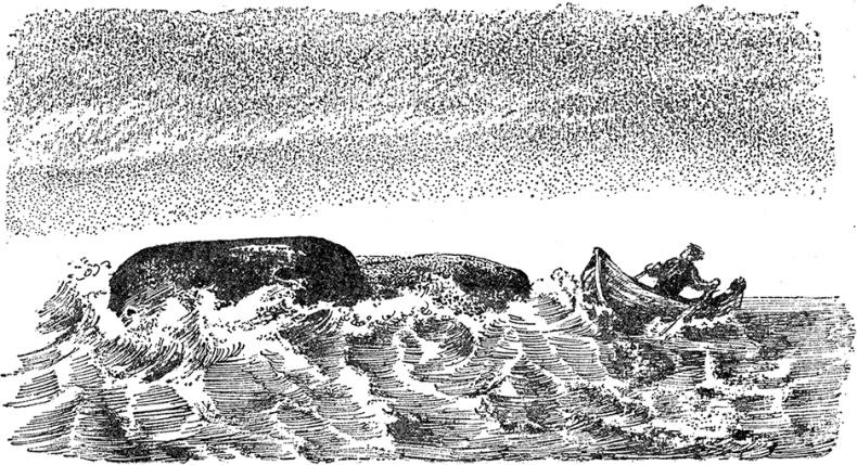 Иллюстрация к книге — Город и лес у моря [i_041.jpg]