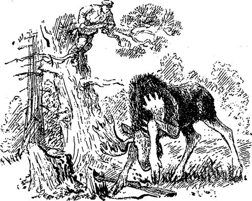 Иллюстрация к книге — Город и лес у моря [i_056.jpg]