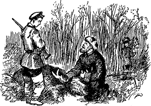 Иллюстрация к книге — Город и лес у моря [i_059.jpg]