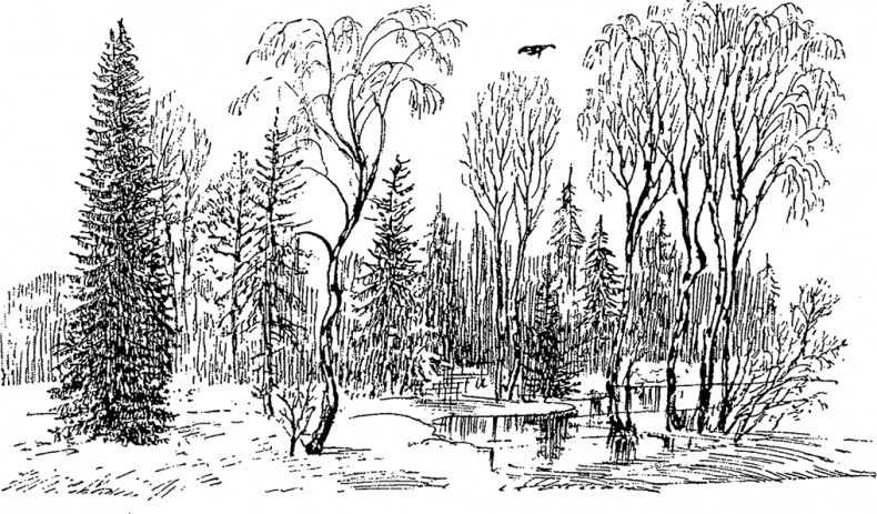 Иллюстрация к книге — Город и лес у моря [i_060.jpg]