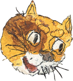 Иллюстрация к книге — Шамайка – королева кошек [i_017.jpg]