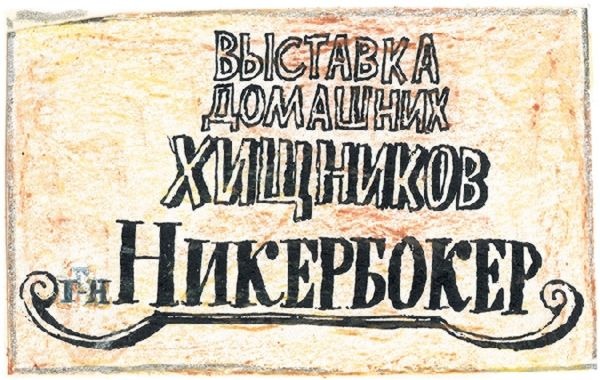 Иллюстрация к книге — Шамайка – королева кошек [i_035.jpg]