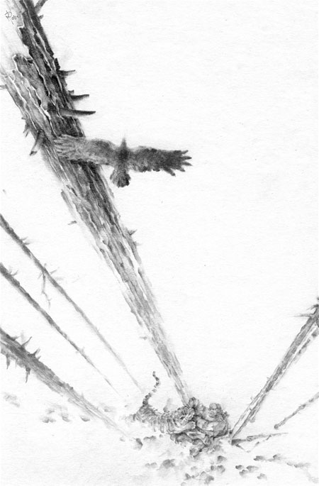 Иллюстрация к книге — Под знаком тигра [Autogen_eBook_id16.jpg]