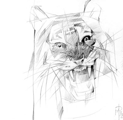 Иллюстрация к книге — Под знаком тигра [Autogen_eBook_id19.jpg]