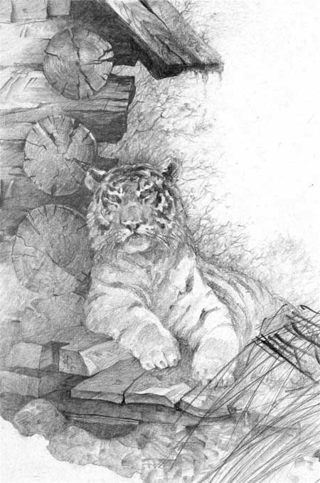 Иллюстрация к книге — Под знаком тигра [Autogen_eBook_id20.jpg]