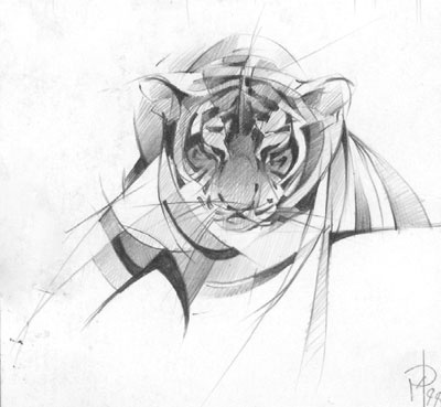 Иллюстрация к книге — Под знаком тигра [Autogen_eBook_id56.jpg]