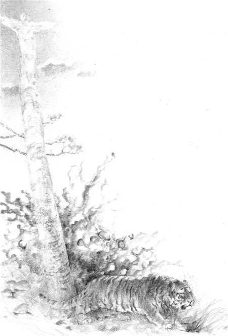 Иллюстрация к книге — Под знаком тигра [Autogen_eBook_id67.jpg]