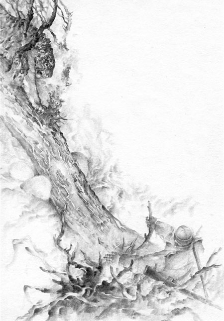 Иллюстрация к книге — Под знаком тигра [Autogen_eBook_id70.jpg]