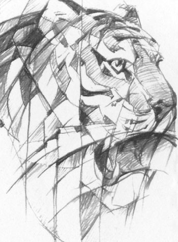 Иллюстрация к книге — Под знаком тигра [Autogen_eBook_id75.jpg]