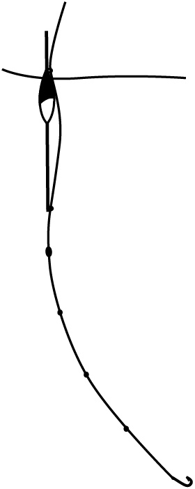 Иллюстрация к книге — 500 советов рыболову [i_038.jpg]