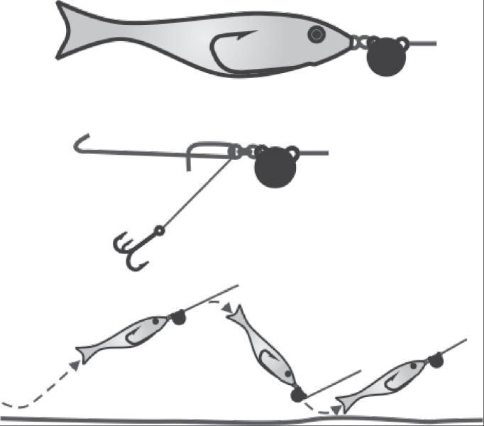 Иллюстрация к книге — 500 советов рыболову [i_084.jpg]