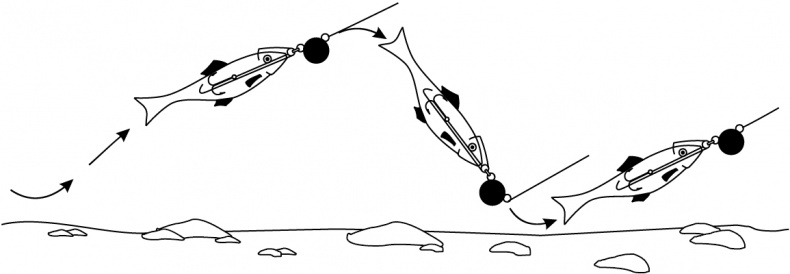 Иллюстрация к книге — 500 советов рыболову [i_086.jpg]