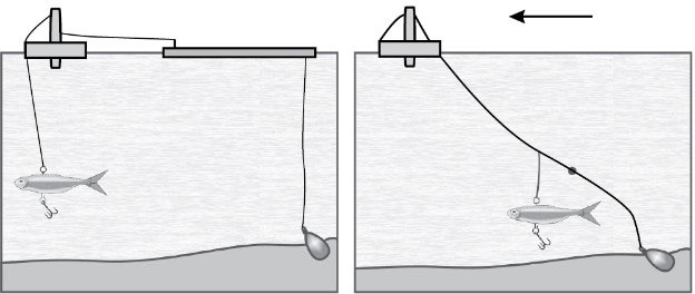 Иллюстрация к книге — 500 советов рыболову [i_096.jpg]