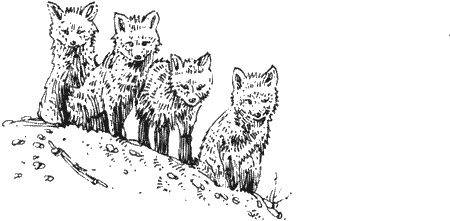 Иллюстрация к книге — Долгая дорога домой [img04.jpg]