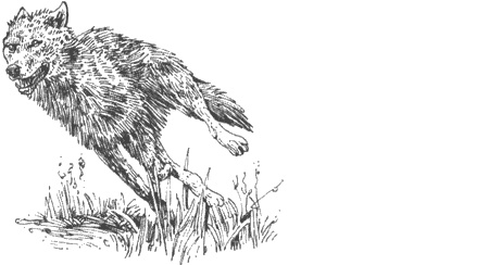 Иллюстрация к книге — Долгая дорога домой [img10.jpg]