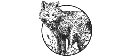 Иллюстрация к книге — Долгая дорога домой [img12.jpg]