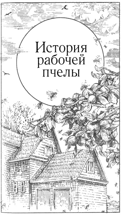 Иллюстрация к книге — Долгая дорога домой [img21.jpg]