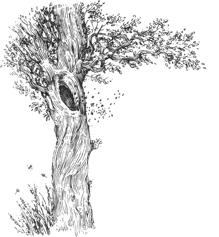 Иллюстрация к книге — Долгая дорога домой [img27.jpg]