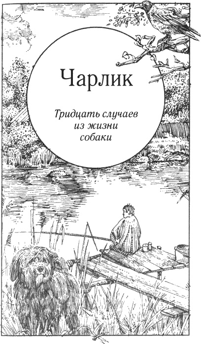 Иллюстрация к книге — Долгая дорога домой [img31.jpg]