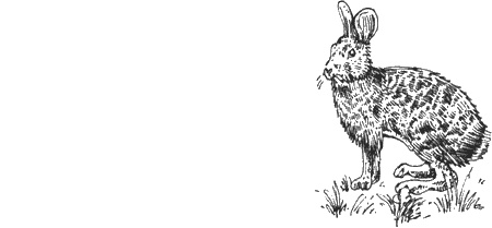 Иллюстрация к книге — Долгая дорога домой [img34.jpg]