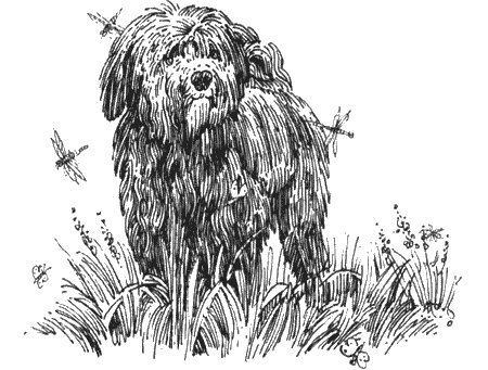 Иллюстрация к книге — Долгая дорога домой [img38.jpg]