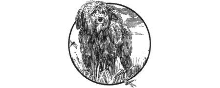 Иллюстрация к книге — Долгая дорога домой [img43.jpg]