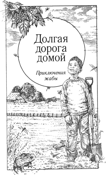 Иллюстрация к книге — Долгая дорога домой [img44.jpg]