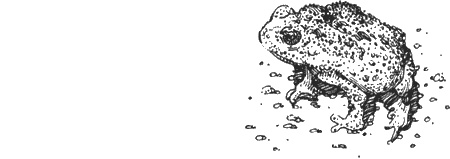 Иллюстрация к книге — Долгая дорога домой [img47.jpg]