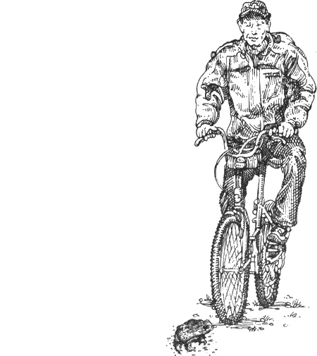 Иллюстрация к книге — Долгая дорога домой [img48.jpg]