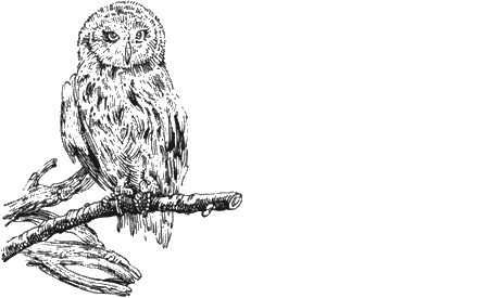 Иллюстрация к книге — Долгая дорога домой [img51.jpg]