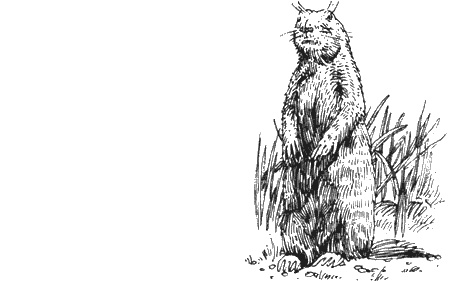 Иллюстрация к книге — Долгая дорога домой [img53.jpg]