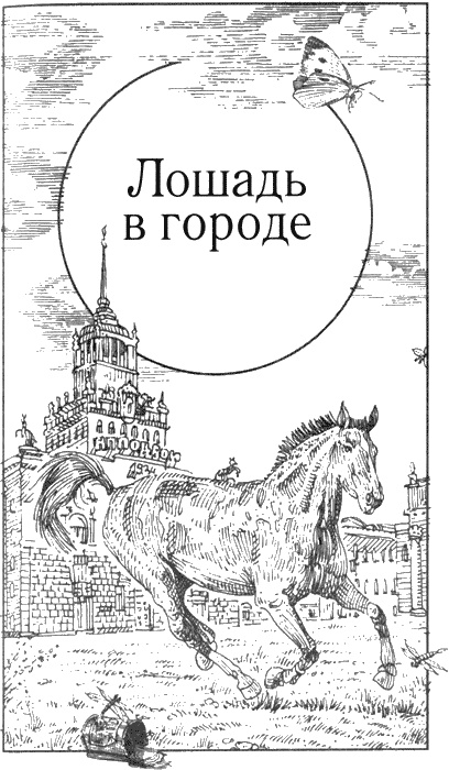 Иллюстрация к книге — Долгая дорога домой [img57.jpg]