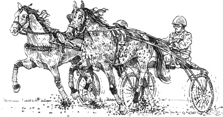 Иллюстрация к книге — Долгая дорога домой [img60.jpg]