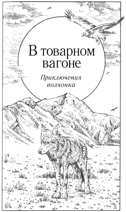 Иллюстрация к книге — Долгая дорога домой [img67.jpg]