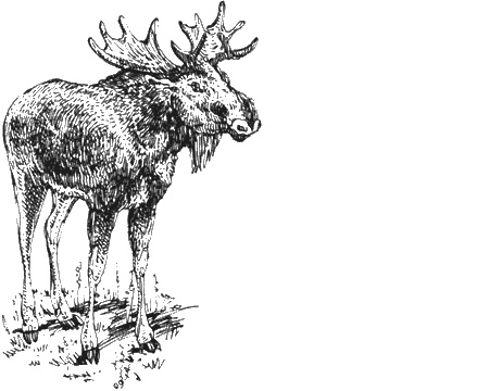 Иллюстрация к книге — Долгая дорога домой [img69.jpg]