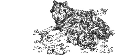 Иллюстрация к книге — Долгая дорога домой [img70.jpg]