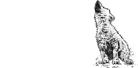 Иллюстрация к книге — Долгая дорога домой [img72.jpg]